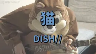 猫／DISH//／ギターコード