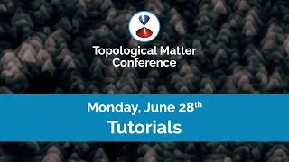 TMC21: Probing ultrafast spin transport with terahertz electromagnetic pulses (Tutorial)