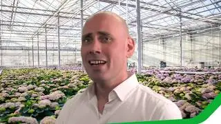 Production planning for potted plant growers | Software for Horticulture | Agriware