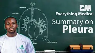 Pleura | ANATOMY