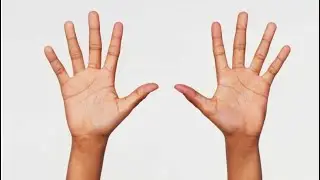 How Fast Does the Cop Have to Be? Check your split-second decision abilities.