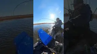 Big Bass on a Spinnerbait! #fishing #bassfishing #kayakfishing