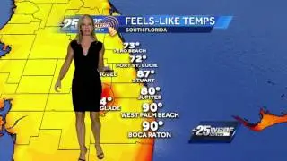 Sandra Shaw's video forecast