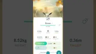 Shiny 3 STAR Eevee!! Pokemon Go