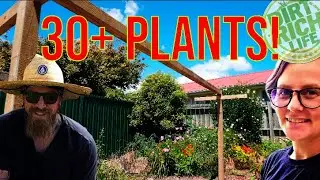 Don't Let Your Tomatoes Collapse! The Ultimate Lateral Support Build