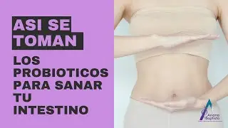 As&iacute; se toman los probi&oacute;ticos para sanar tu intestino