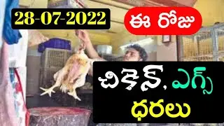 Chicken rate today Telugu||Today chicken price! Chicken price today!Egg rate today