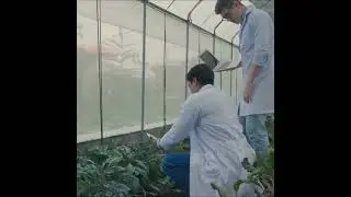 Detecting Plant Diseases with Artificial Intelligence