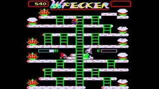 Amenip - Woodpecker