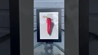 Painting of &lsquo;Large Red Pepper&rsquo; 🌶️ #stillife #art #oilpainting #artist #painting