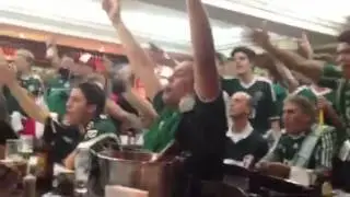 Palmeiras Av. Goi&aacute;s