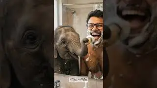 අයියෝ සබන් කෑල්ල! ලිස්සලා ගියා නේද? #agannabcpanthiya #Shorts #Fail #BathTime