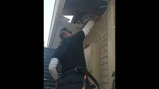 Replacing rotten eaves #construction #buildingmaterial#soffit #diy