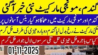 Wheat price in Pakistan/Makki🌽 price today 2025 |Munji rates 2025| Galla Mandi rates today 