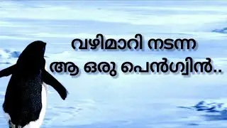 കൂട്ടം വിട്ട് ഒറ്റയ്ക്ക് നടന്നകലുന്ന കൊച്ചു പെൻഗ്വിൻ #video#viral#trending#viralpenguin#penguin 