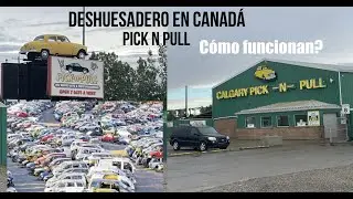 Como son los DESHUESADEROS en CANADA (los PATIOS de repuestos para CARROS) Pick N Pull.