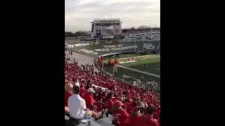 Katy tigers