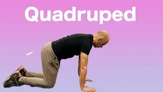 Quadruped Breathing