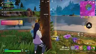 Una victoria Jugando Fortnite con mi compa budu