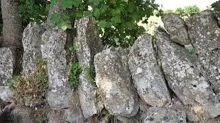 C'est l'histoire d'une zone humide   La Versanne   &copy;202509PHMPRODS