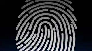 Thumb Scan