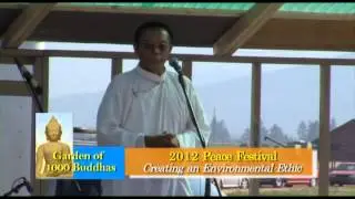 Peace Festival, Part 2