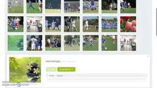 Demo of new images field in ProcessWire 3.0.17