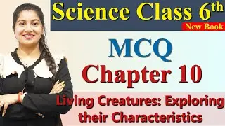 MCQ - Chapter 10  Living Creatures : Exploring their Characteristics Science Curiosity Class 6 CBSE