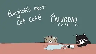 Caturday Cat Caf&eacute; - Bangkok Thailand