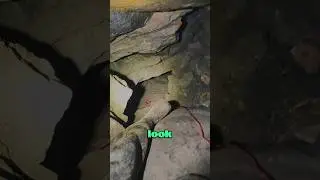 Процесс входа/выхода из старой пенсильванской шахты, построенной еще в 1840-х годах! 😮 #короткоме...