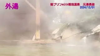 (猫プリン)福地温泉♨️元湯長座
