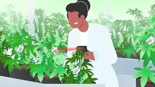BioTrack Video