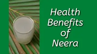 Health Benefits of Neera | TeachMeYT