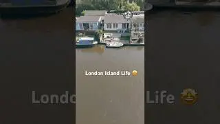 Они живут на острове в Лондоне.