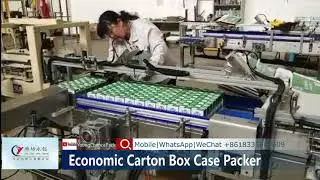 Tetra Pak Brick SIG Combibloc Aseptic Carton Box Case Packer | Young Chance Pack