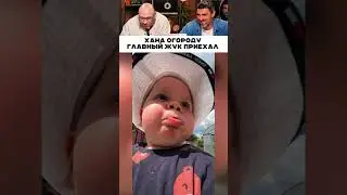 Хана огороду, главный жук приехал 😅