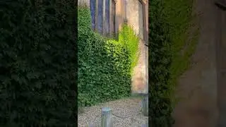 Most Historic Spot in #Cambridge: St John&rsquo;s College founded in 1511 🤯 #travel #uk #life #history