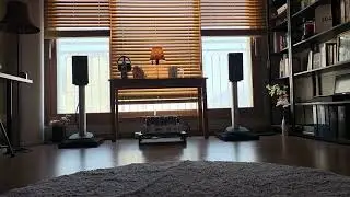 Einstein Cable / Pat's Guitar