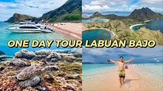 Island Hopping di Labuan Bajo (Sebelum Tragedi Kapal Tenggelam) // Pulau Padar, Komodo, Pink Beach