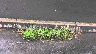 Road sweeping vehicle in Thornbury