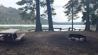 Campsites #10 & #12 Reviews, BEST & 2ND BEST @ Link Creek Campground Suttle Lake 4K (RAW & UNEDITED)