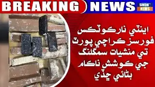 Anti Narcotics Force Karachi Port te manshiyat smuggling ji koshish naakaam banaai chhaddi