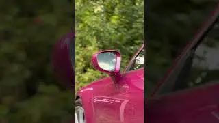 Ruby star 😻🎀 #porsche #viralvideo