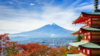 Japan and Wagashi 