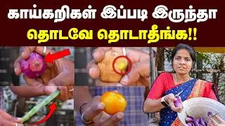 இது தெரிஞ்சா இனி யாரும் உங்களை ஏமாத்த முடியாது💪🏻 | Don't buy these vegetables | Theneer idaivelai