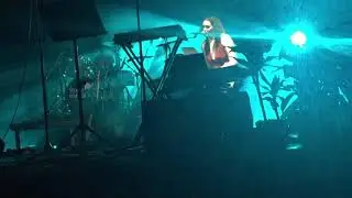 As the wild rose bloom - NICA (Alex Nicander)