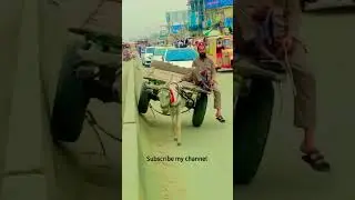 Aur Suna Saleemo, 😅 #viralvideo #nature #movie #style #usa #life #shorts #funnyvideo #peshawar #uae