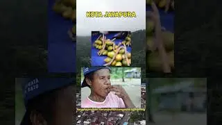 Kota Jayapura ibu kota provinsi papua,indonesia #education #jayapura #papua