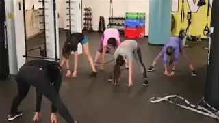 FUNctional Circuit