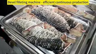 Bevel filleting machine - efficient continuous production#fishcutting_skills